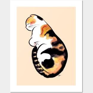 Sleeping cat baby Posters and Art